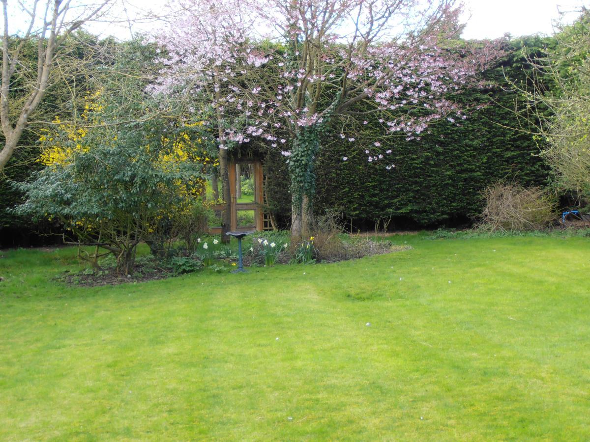 Castle View Rooms Castle Hedingham Esterno foto